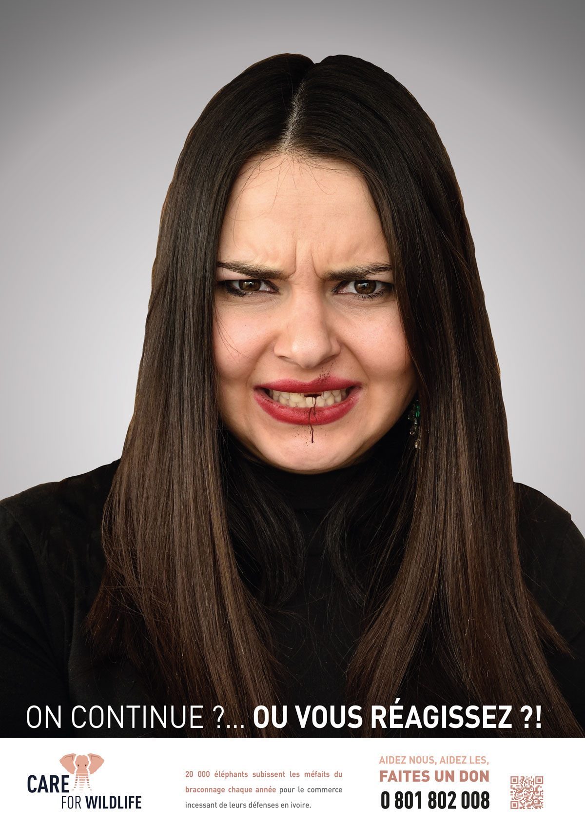 Care For Wildlife - Affiche 1