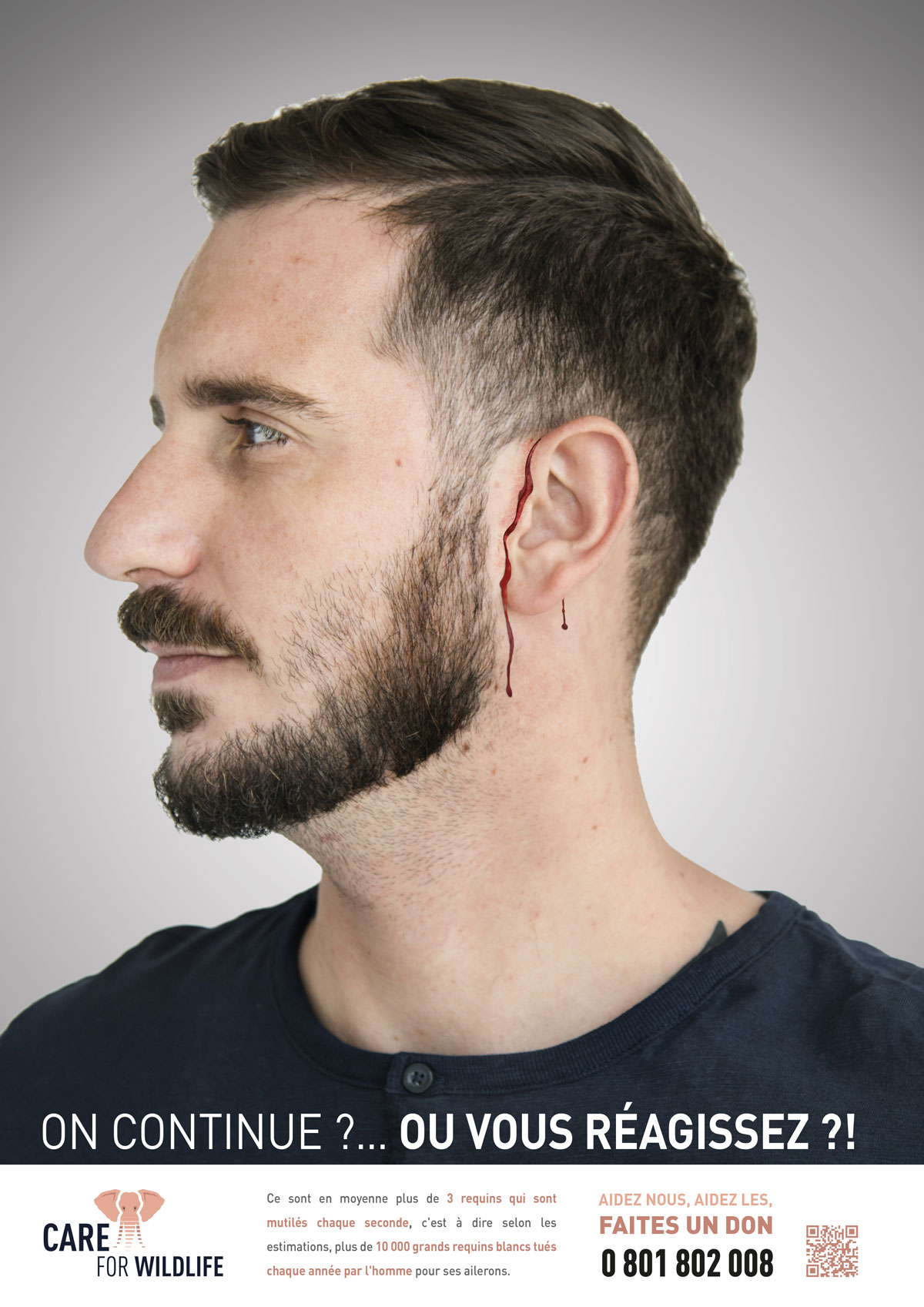 Care For Wildlife - Affiche 3