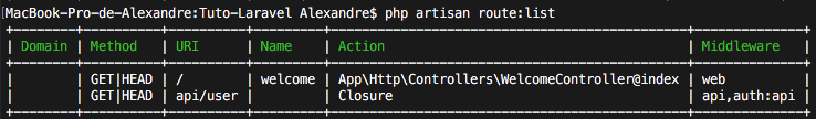 CLI - php artisan route:list
